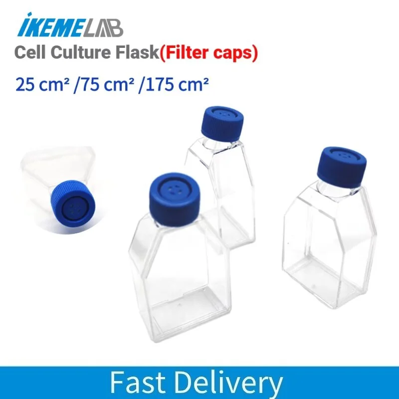 bestdealplus-1202605150137084044522