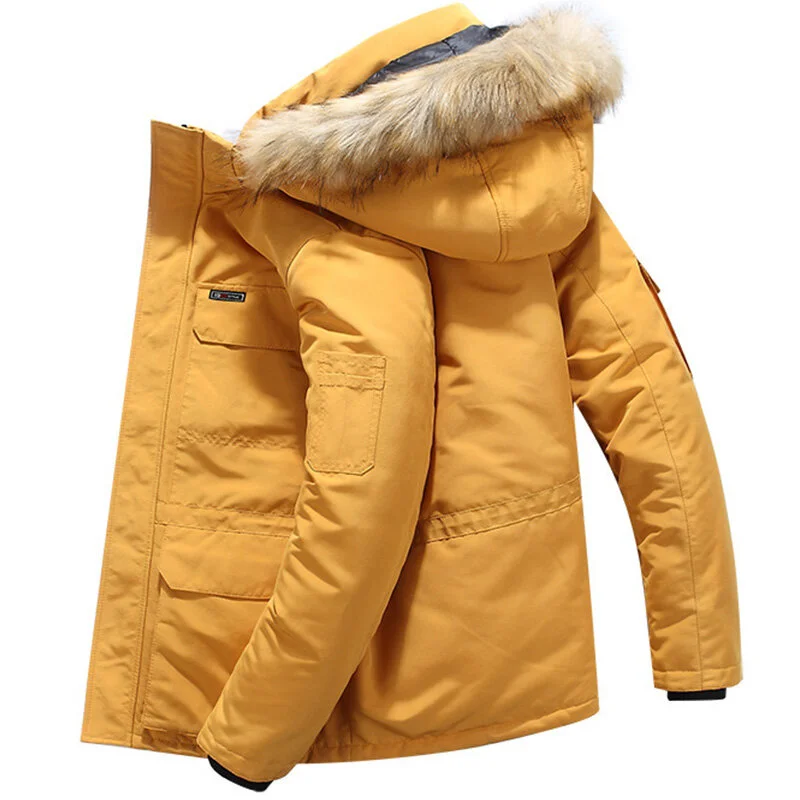 bestdealplus-1202605151042594125741