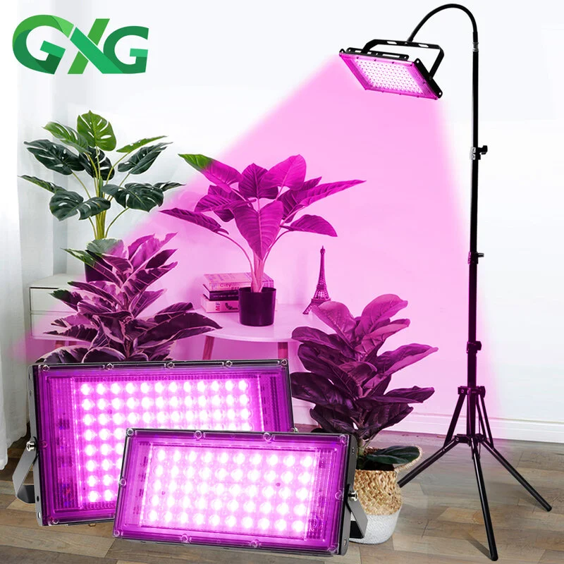 bestdealplus-420260519124701148950