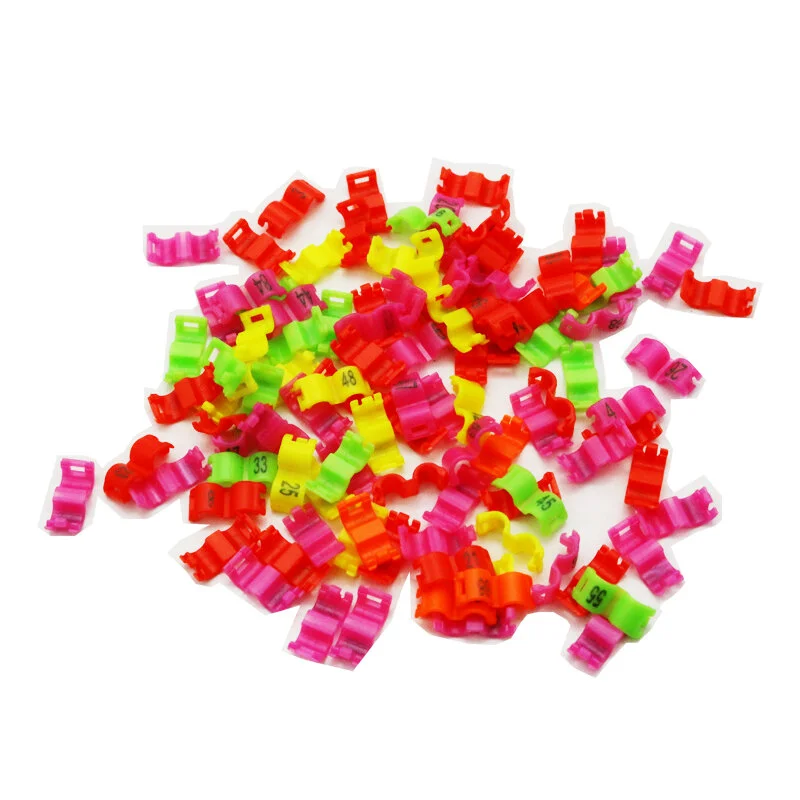 bestdealplus-420260519124803149208