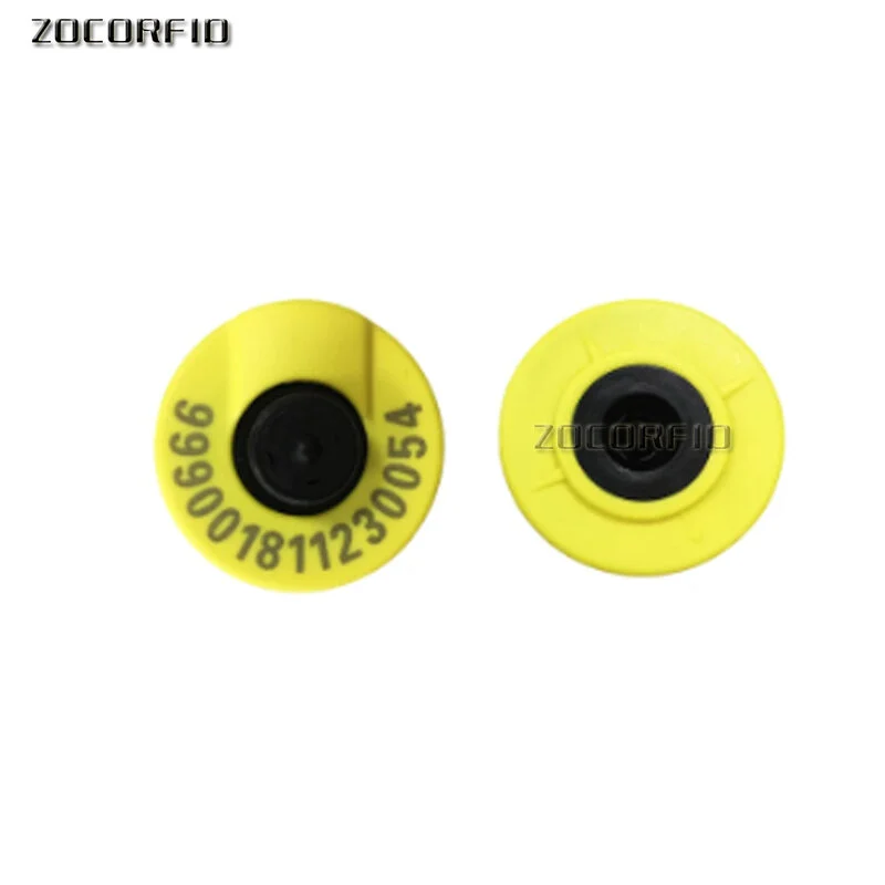 bestdealplus-520260519182529208854
