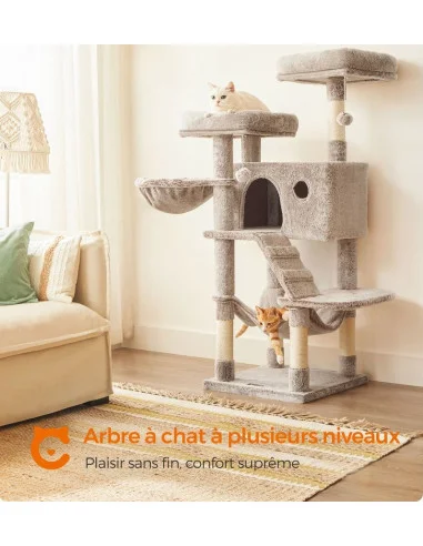cielterre-commerce202605142358564029776