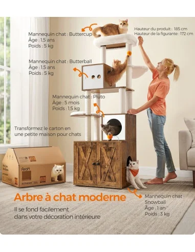 cielterre-commerce202605150044054035994